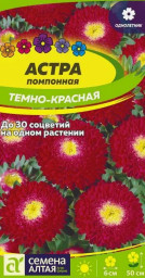 Астра Помпонная темно-красная Семена Алтая