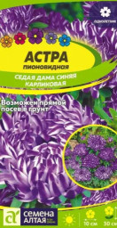 Астра Седая Дама Синяя карликовая Семена Алтая