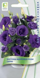 Эустома махровая Рози Синяя 5шт Поиск