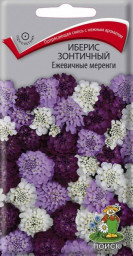 Иберис зонтичный Ежевичные меренги 0,1гр Поиск