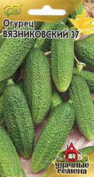 Огурец Вязниковский 37/Удачные семена 0,5гр ГШ