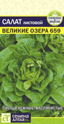 Салат Великие Озера-659 0,5гр Семена Алтая